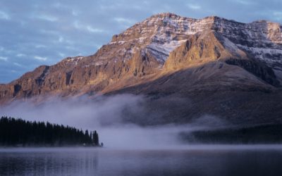 Adam van Koeverden teaches us to live in the moment