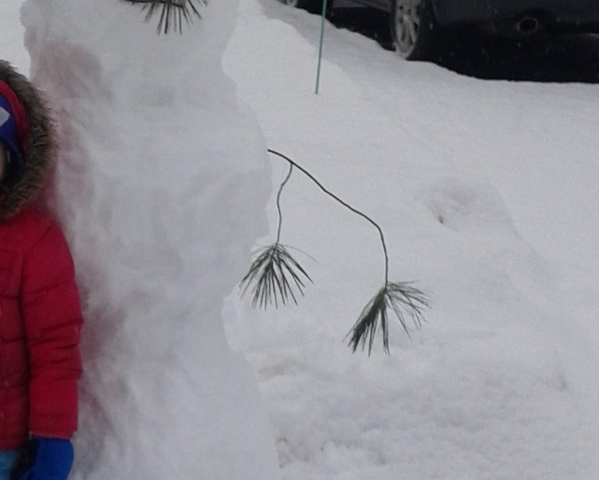 The True Meaning of Christmas