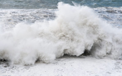 Fighting the Tide